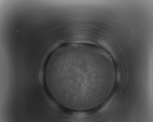 X0000089690444200706281418