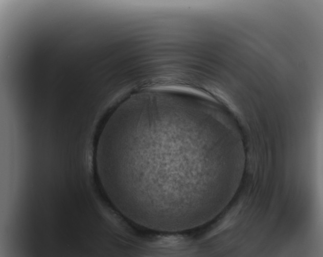X0000089690446200706281418