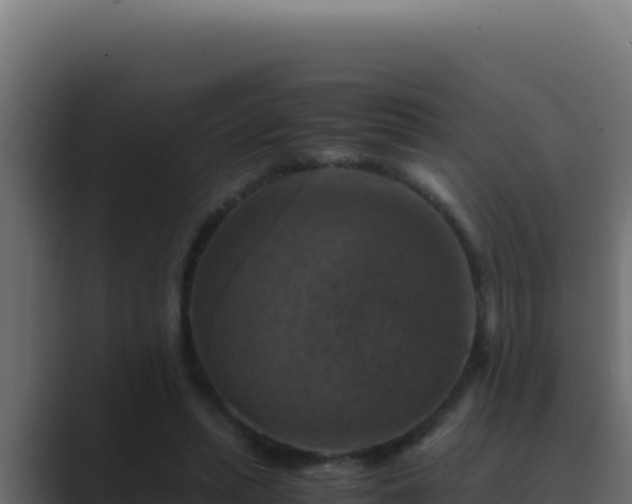 X0000089690447200706281418