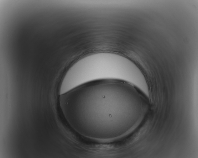 X0000089690448200706281418