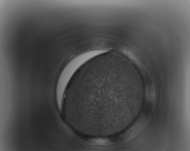 X0000089690449200706281418