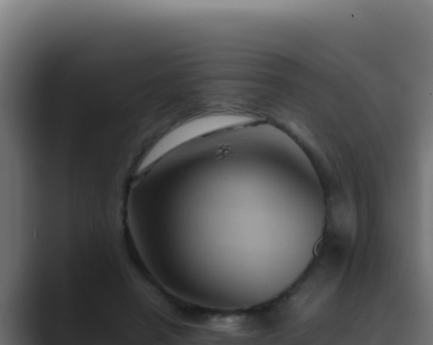 X0000089690450200706281418