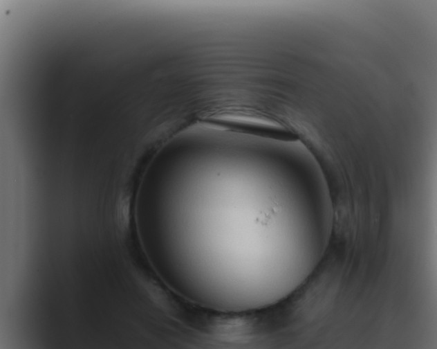 X0000089690454200706281419