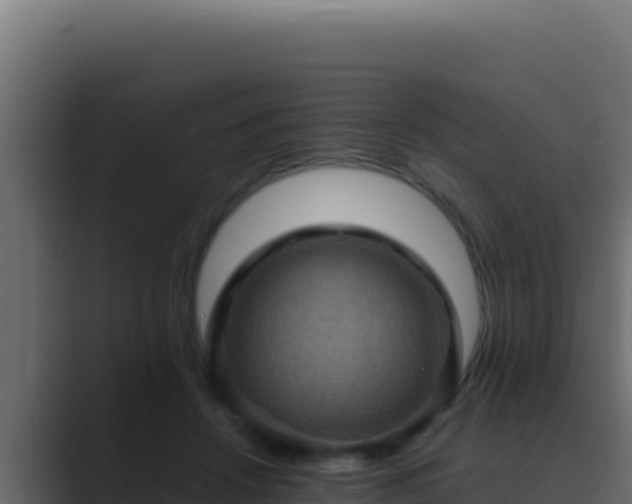 X0000089690456200706281419