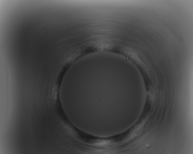 X0000089690458200706281419