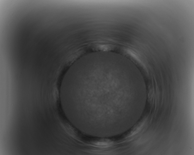 X0000089690459200706281419