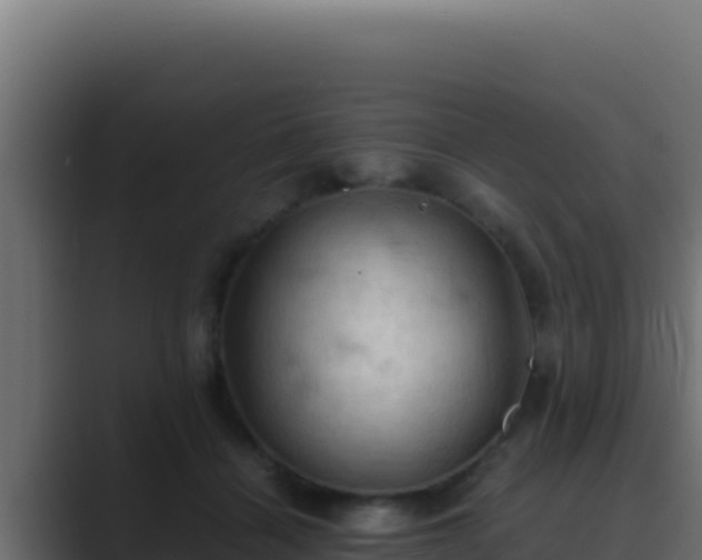 X0000089690460200706281419