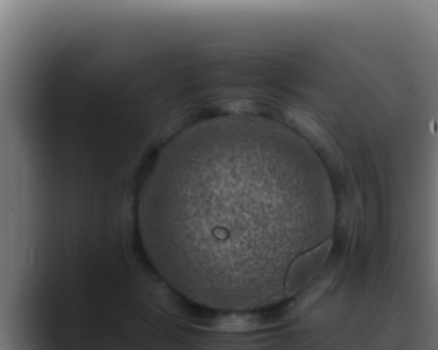 X0000089690461200706281419