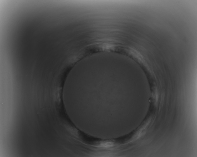 X0000089690462200706281419