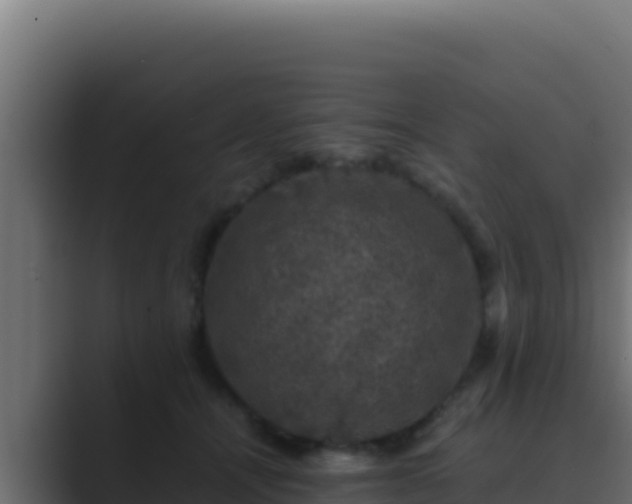 X0000089690464200706281419