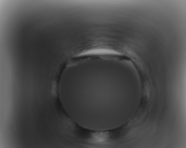 X0000089690465200706281419