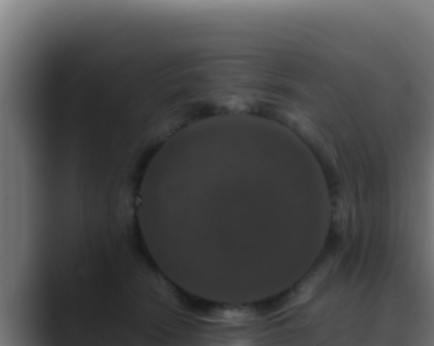 X0000089690466200706281419