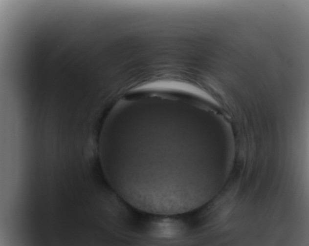 X0000089690467200706281419