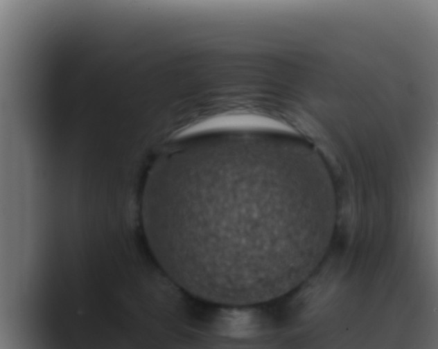 X0000089690469200706281419