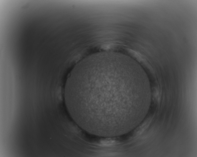 X0000089690470200706281419