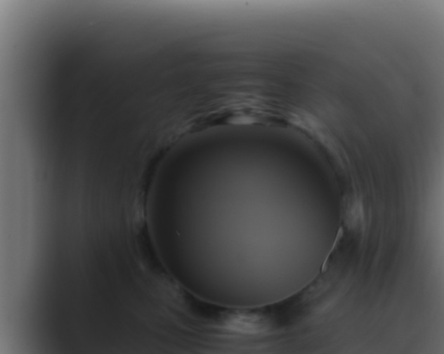 X0000089690471200706281419