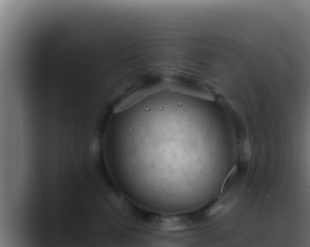 X0000089690472200706281419