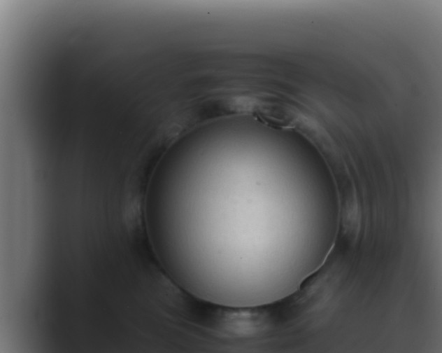 X0000089690473200706281419