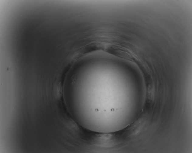 X0000089690474200706281419