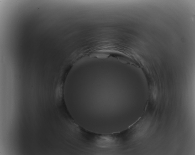 X0000089690475200706281419