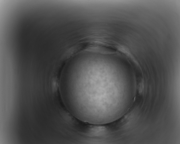 X0000089690476200706281419