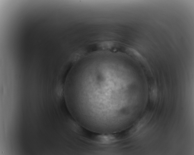 X0000089690477200706281419