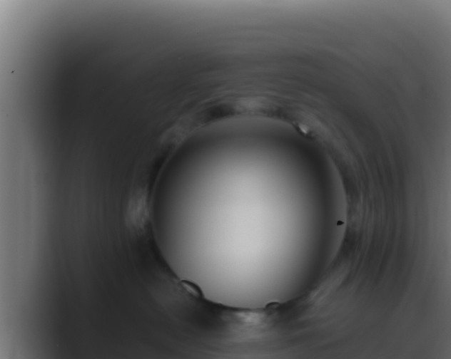 X0000089690478200706281419