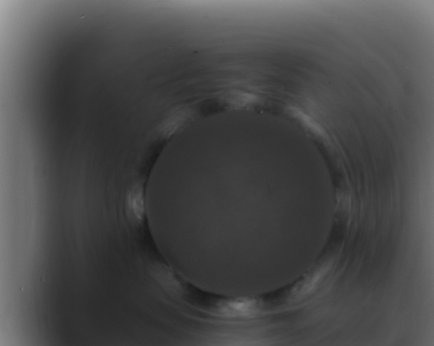 X0000089690479200706281419