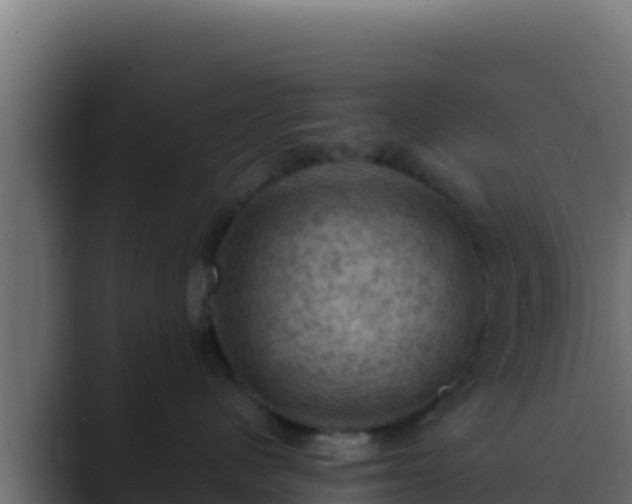 X0000089690480200706281419