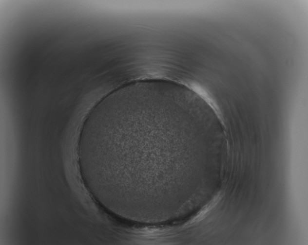 X0000089690481200706281418