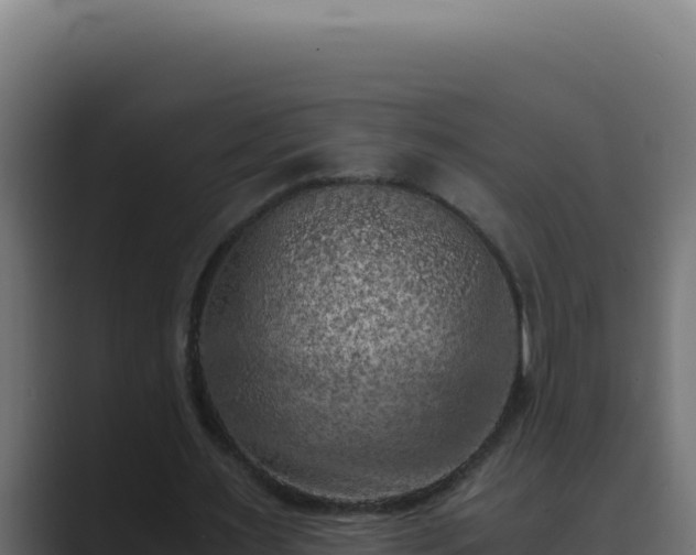 X0000089690483200706281418