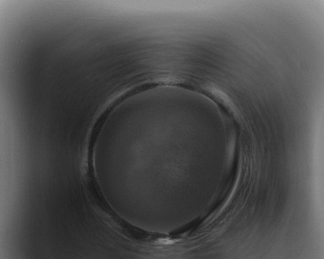 X0000089690484200706281418