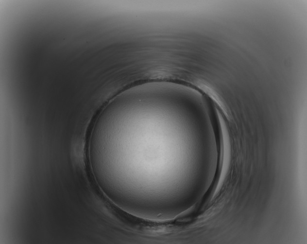 X0000089690485200706281418