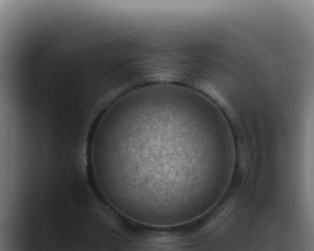 X0000089690486200706281418