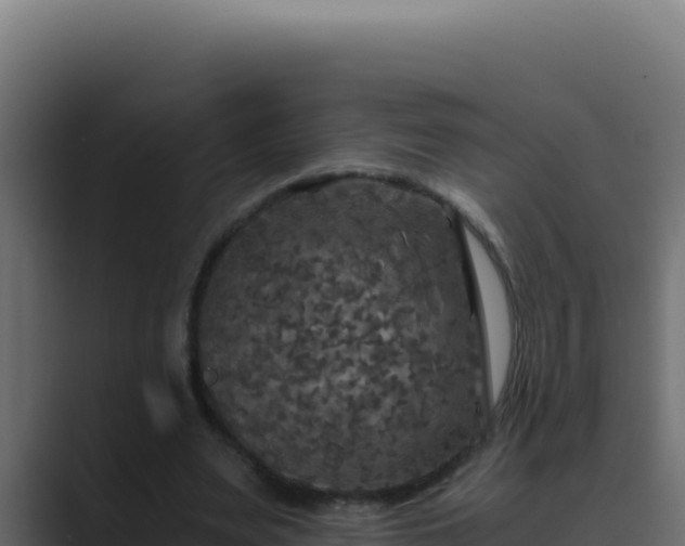 X0000089690487200706281418