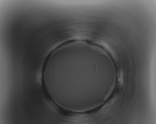 X0000089690488200706281418