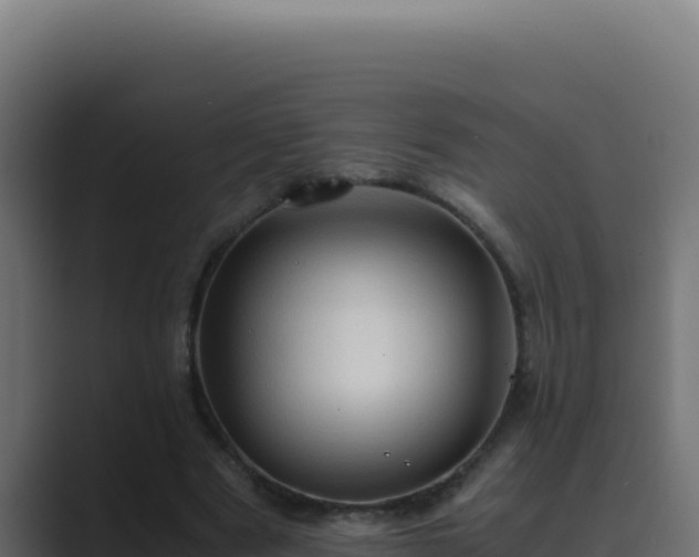 X0000089690489200706281418