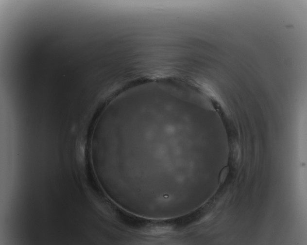 X0000089690491200706281418