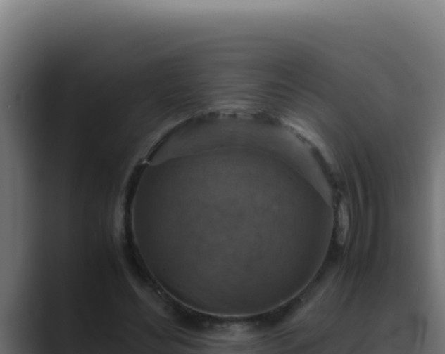 X0000089690492200706281418