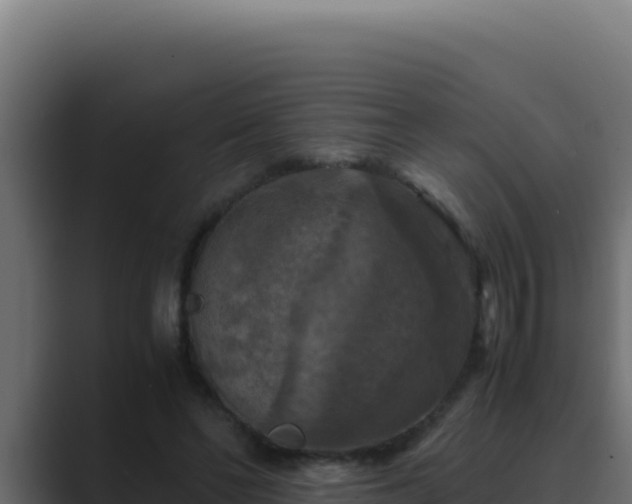 X0000089690494200706281418