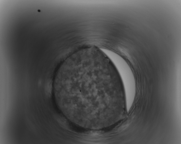 X0000089690495200706281418