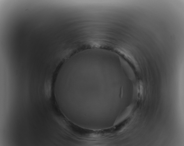 X0000089690496200706281418