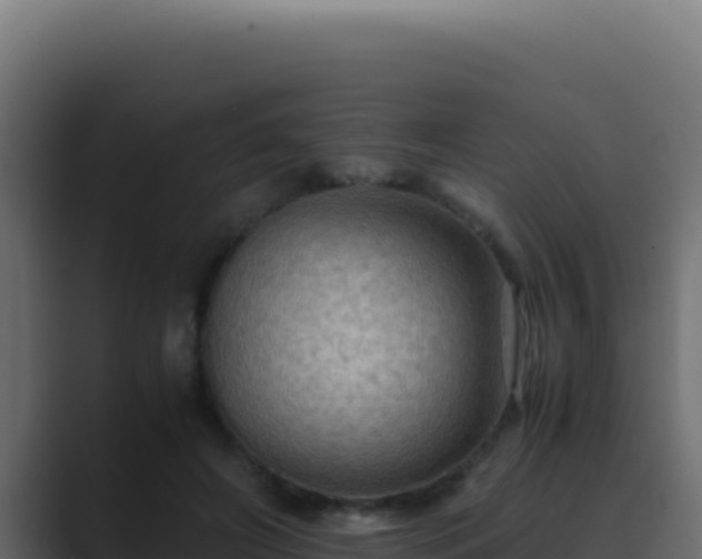 X0000089690498200706281418