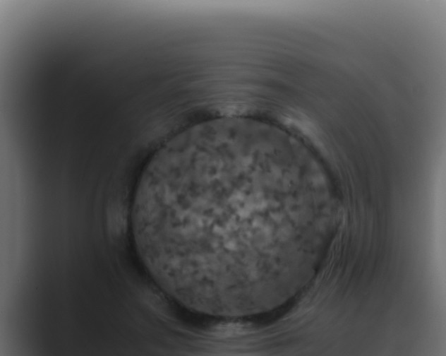 X0000089690499200706281418