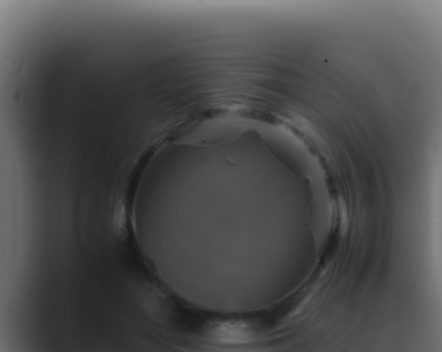 X0000089690500200706281418