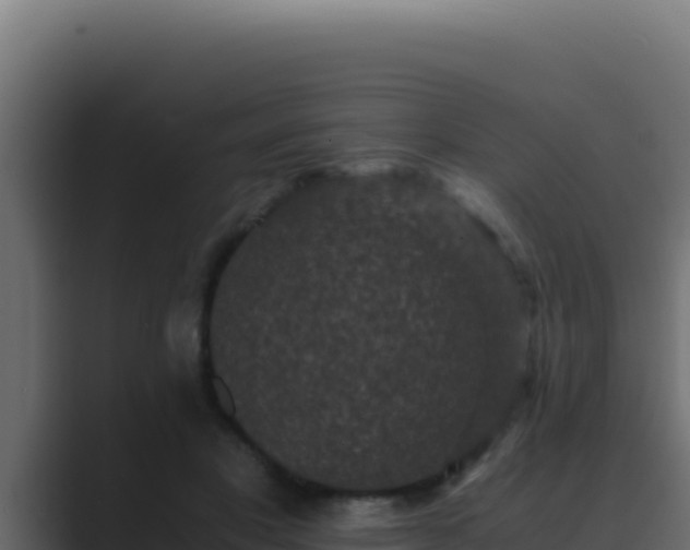 X0000089690501200706281418