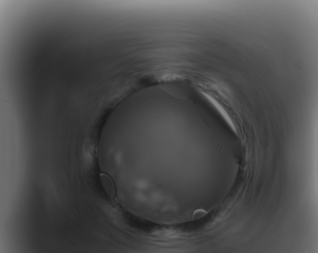 X0000089690503200706281418