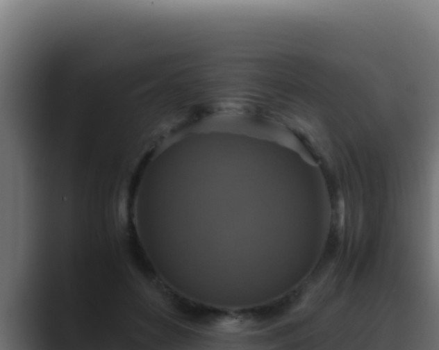 X0000089690504200706281418