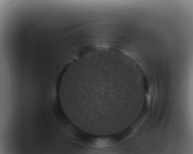 X0000089690508200706281418