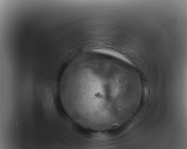 X0000089690511200706281418